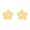 Star earrings in 14k gold Ekan