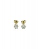 Stud earrings with CZ in 14k gold